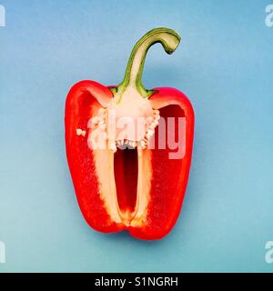 Ein overhead Detail schoß eine halbe rote Paprika auf einem blauen Hintergrund zentriert Stockfoto