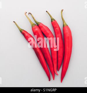 Overhead von fünf würzigen heißen roten Paprika auf einem hellblauen Hintergrund Stockfoto