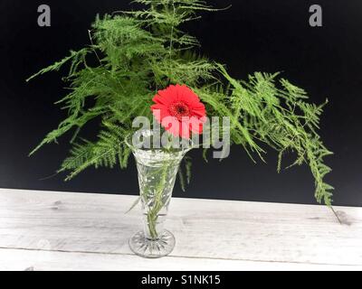 Rote Blumen in einer Glasvase Stockfoto