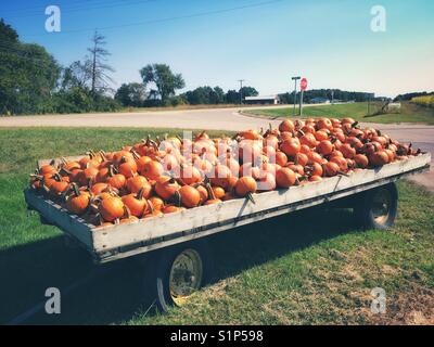 Kürbisse in einem Wagen Stockfoto