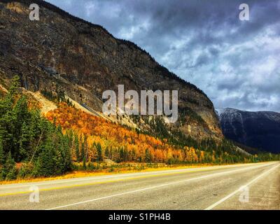 In der Nähe von Feld, British Columbia, herbstliche Farben, und die Trans Canada Highway Stockfoto