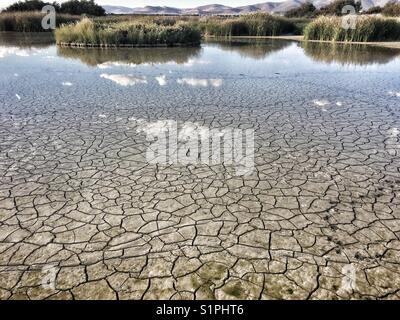 Land durch Dürre in Las Tablas de Daimiel Nationalpark geknackt. Stockfoto