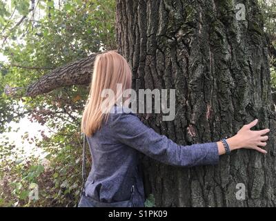 Umarmt den großen Baum Stockfoto