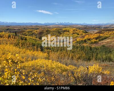 Herbst Farben über das Alberta Ausläufern, in Richtung Rocky Mountains. im glenbow Ranch Provincial Park, in der Nähe von Calgary, Alberta, Kanada. Stockfoto