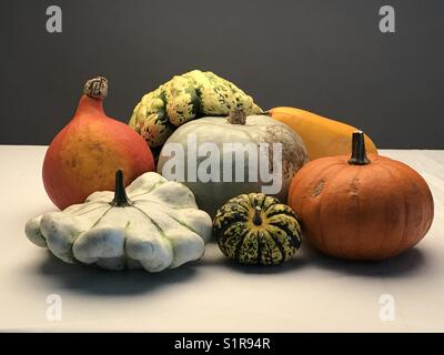 Eine Vielzahl von Winterkürzeln Stockfoto