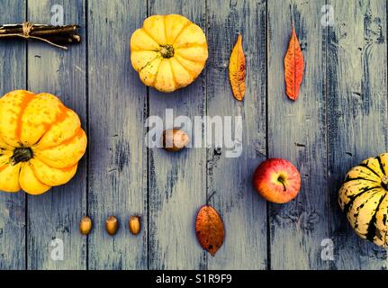 Bunte herbstliche bacground Stockfoto