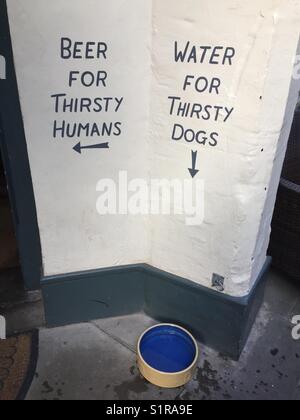 Wasser für durstige Hunde, Bier für durstige Menschen Stockfoto