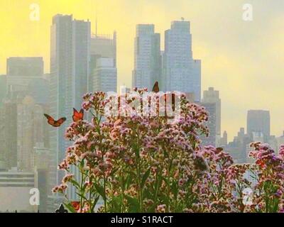 Schmetterling vor New York Skyline Stockfoto
