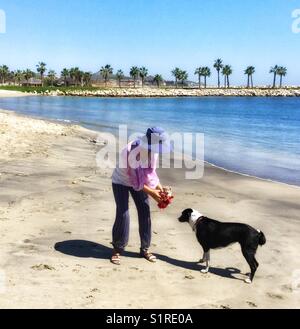 Schwarze und weisse Hund begrüßt eine Frau und ausgestopften Bären am Strand in Mexiko. Stockfoto