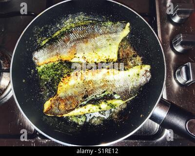 Wolfsbarsch Fischfilets mit Rucola-pesto Butter gekocht Stockfoto