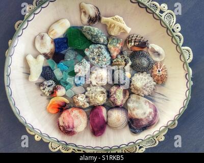 Eine bunte Sammlung von Muscheln und Meer Glas. Stockfoto