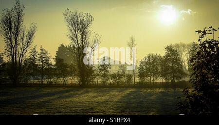 Misty, frostigen Morgen Stockfoto