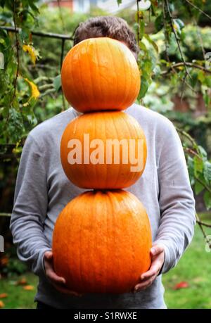 Ein junger Mann mit einem großen orange Kürbisse in seinen Händen Stack beim stehen im Garten Stockfoto