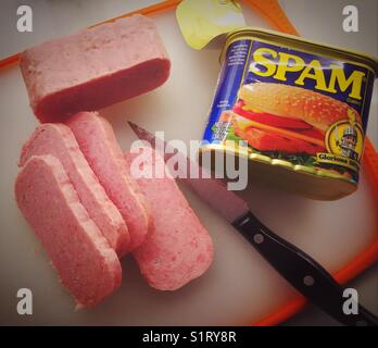 Schichten von Spam auf Wohnhaus, Küche, Schneidbrett, USA Stockfoto