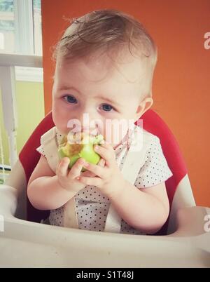 Ein Jahr altes Baby essen eine grüne Granny Smith Apfel in einem Hochstuhl Stockfoto