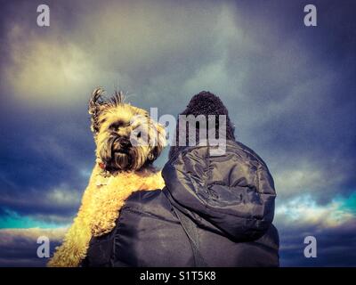 Ein Mädchen Hund Walker ihr kleiner Hund auf ihre Schulter an einem stürmischen Tag Stockfoto