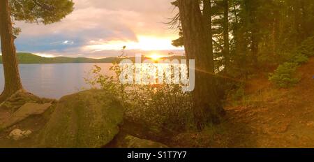 Sonnenuntergang über Wald Seeblick Stockfoto