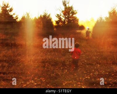 Sonnigen Abend glühen Stockfoto