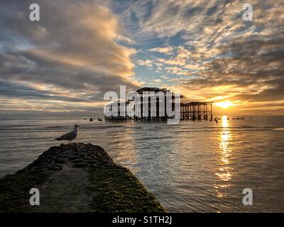 Möwe Sonnenuntergang hinter der West Pier in Brighton Beach Stockfoto