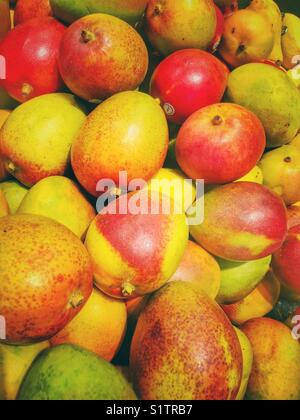 Stapel von bunten frischen Mangos zum Verkauf im Supermarkt Stockfoto
