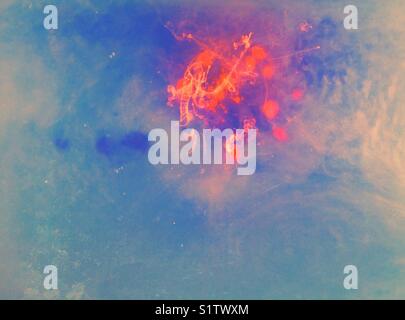 Bewegung von Farbe in Wasser Stockfoto