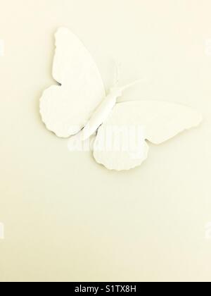 Monochromatische noch Leben der weißen Schmetterling. Stockfoto