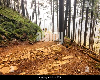 Wanderweg von Pec pod Snezkou in der Tschechischen Republik Snezka Mountain Peak Stockfoto