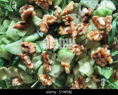 Frischer Salat mit gemischten Blätter, Gurke und Walnüsse Stockfoto