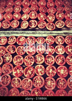 Cherry Tomaten, auf einem Backblech im Ofen geröstet bereit zu sein Stockfoto