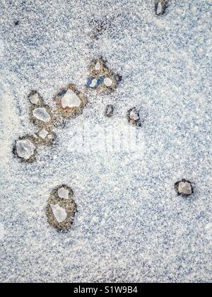 Nahaufnahme von Streusalz schmelzen frischen Schnee auf Beton Stockfoto