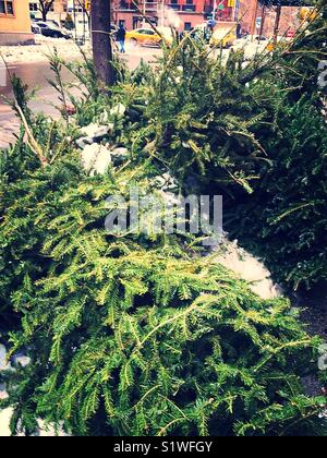 Entsorgte Weihnachtsbäume curbside Warten auf Abholung für Recycling nach den Feiertagen, New York City und Ysee, USA Stockfoto