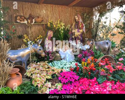 Feiern Weihnachten. Krippe, bekannt als presepio, in der Av. Arriaga, Funchal, Portugal. Frisch, bunt, Blumen sind in der Anzeige verwendet. Stockfoto