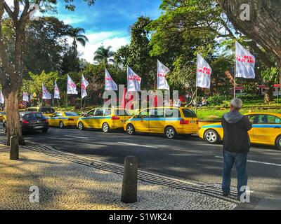 Taxis warten auf Kunden, Warteschlangen in der Avenida Arriaga vor der städtischen Gärten, Funchal, Madeira, Portugal Stockfoto