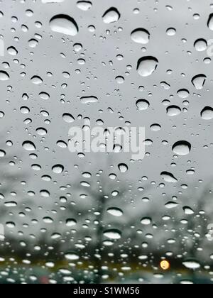 Wassertropfen in der Windschutzscheibe des Autos nach dem Regen Stockfoto