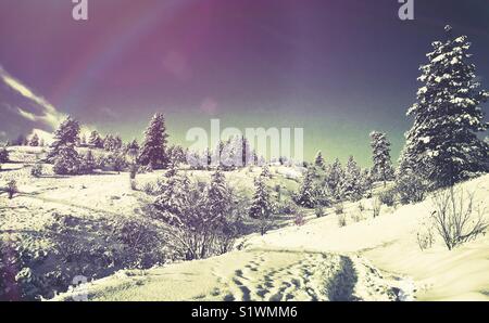 Whimsical Winter Landschaft. Fußabdrücke auf einem verschneiten Trail bis führen einen schneebedeckten Abhang mit immergrünen Bäumen sie in einer hellen, kalten Wintertag. Mit leichten Undichtigkeiten bearbeiten. Stockfoto