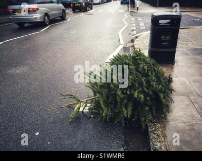 Die Überreste eines Weihnachtsbaum sind außerhalb eines Hauses in Muswell Hill in London 9 Tage nach Erscheinung des am 15. Januar 2018 Links Stockfoto