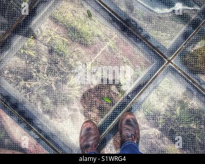 POV stehend auf dem Glas skywalk Aussichtsplattform, 580 m über dem Meer, Miradouro do Cabo Girao, Madeira, Portugal. Stockfoto