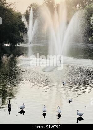 Schöne "Brunnen See' Landschaft, an Lodhi Garten, Neu Delhi, Indien Stockfoto