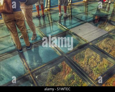 Menschen, die auf dem Glas skywalk Aussichtsplattform in 580 m über dem Meer, Miradouro do Cabo Girao, Madeira, Portugal Stockfoto