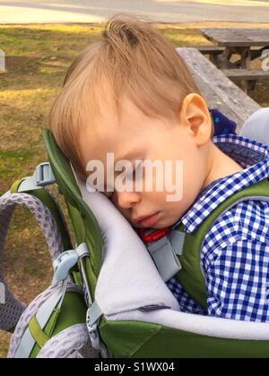 Baby Boy schlafen in einem Kleinkind Wanderrucksack Stockfoto