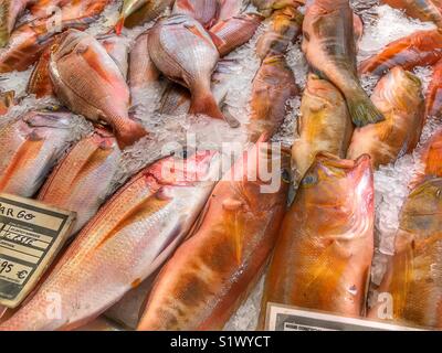 Frisch gefangenen Fisch auf Eis zum Verkauf auf dem Fischmarkt, Mercado dos Lavradores, Funchal, Madeira, Portugal Stockfoto