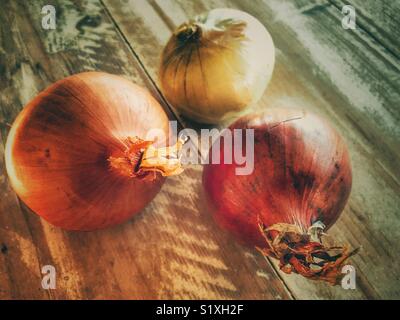 Drei frische Zwiebeln auf einer hölzernen Tischplatte, Stockfoto