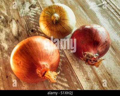 Drei verschiedene Arten von Zwiebeln auf einer hölzernen Tischplatte Stockfoto