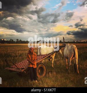 Khmer Landwirt mit Ochsenkarren in ländlichen Kambodscha bei Sonnenuntergang Stockfoto