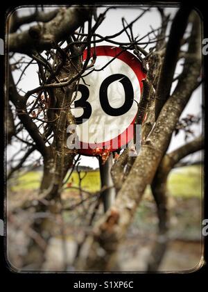 Eine Hecke teilweise in einer 30-Km/h-Schild, Alderton, Suffolk, England. Stockfoto