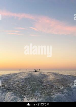 Boot in Wake in Hernando Beach, Florida Stockfoto