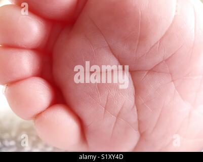 Makro Foto von der Sohle eines Babys Fuß. Stockfoto