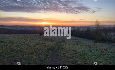 Sonnenaufgang über Felder Stockfoto