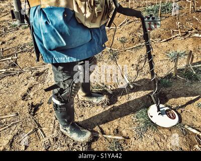 Person in einen Drei-tage-Feld, Metalldetektor Stockfoto