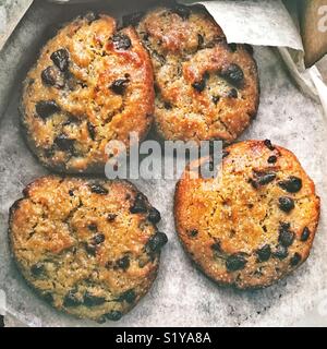 Box von Chocolate Chip Cookies Stockfoto